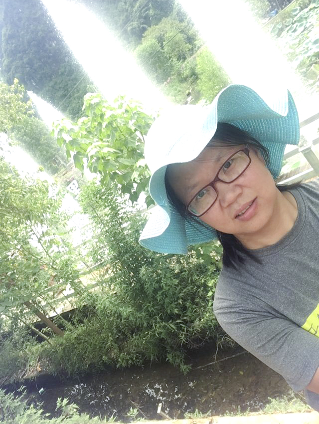 Betvictor中文版
