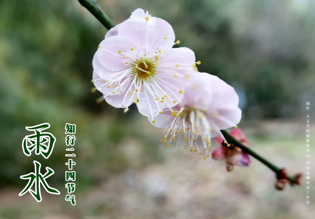 Betvictor中文版