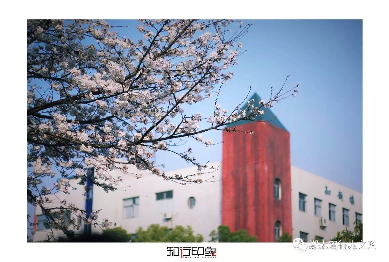 Betvictor中文版